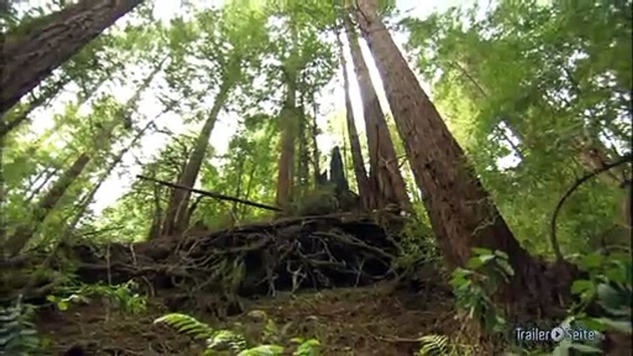 An Ecology Of Mind Trailer (2011)