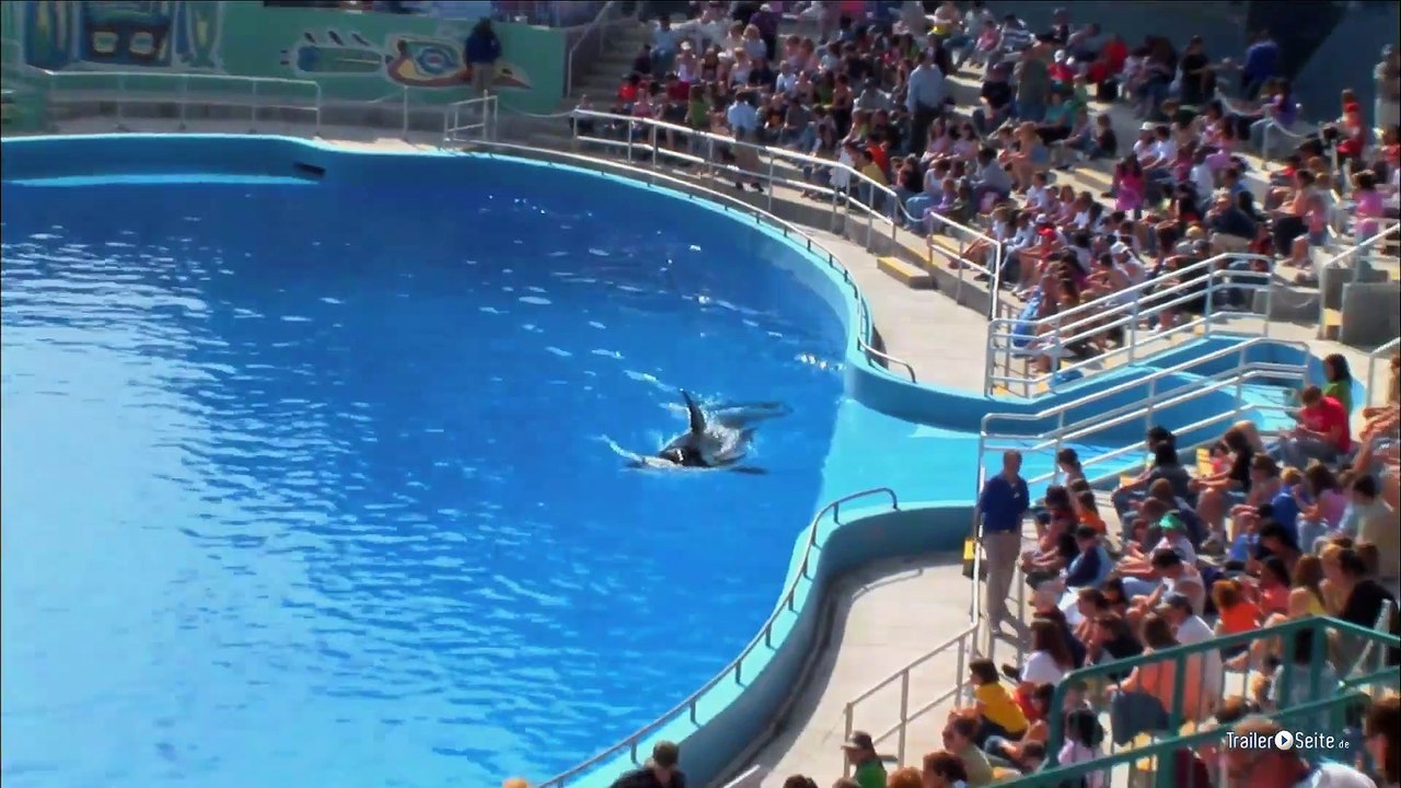 Saving Luna Trailer - Die Geschichte eines jungen Wals (2012)