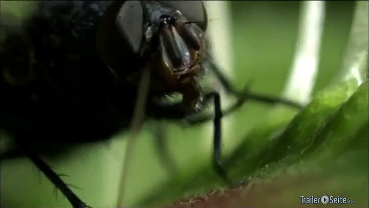Ausschnitt aus Unser Leben: Venus