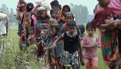 Francesco Documentary 2020 Trailer