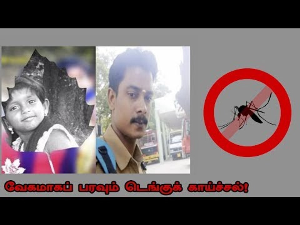 டெங்கு காய்ச்சல்: சரியான நேரத்தில் உதவாத அரசு !...