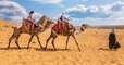 Égypte : les promenades à dos de chameaux, de chevaux et d'ânes désormais interdites autour des pyramides de Gizeh