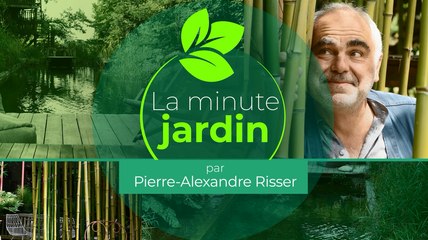 Potager en automne : quels sont les fruits et légumes à récolter ?