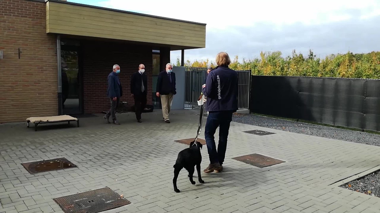 Le prince Laurent visite un centre pour chiens-guides à Tongres
