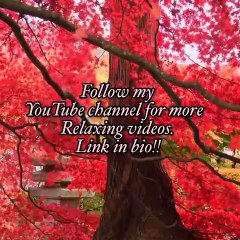 Relaxing music with the softness of nature 2020