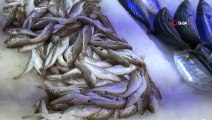 Sinop’ta 3 günlük kötü hava balık fiyatlarını 3'e katladı