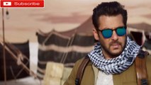 Tiger Zinda Hai dialogue whatsapp status