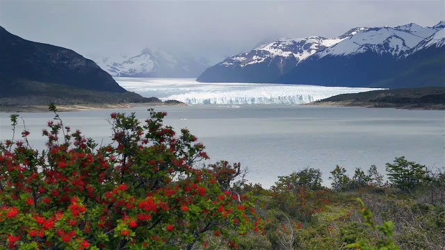 Glaciar Perito Moreno, Patagonia, Argentina