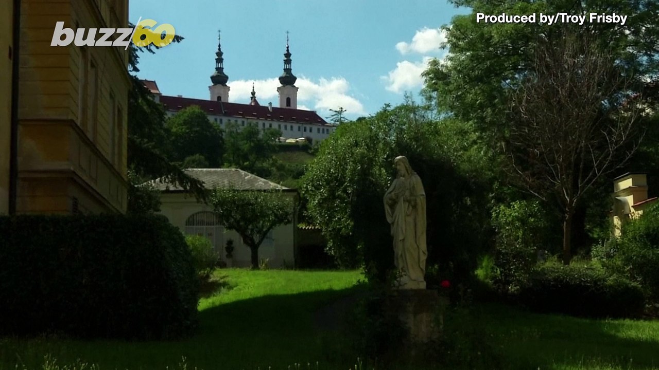 These Adorable Therapy Horses Brought in to Keep Elderly Patients Company Amid COVID-19 Visitor Restrictions
