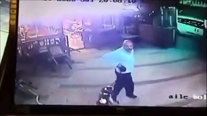 Toujours se méfier d'un petit chat