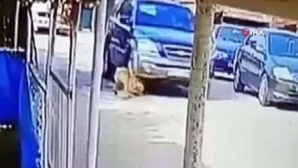 Göz göre göre cipi ile köpeğin üzerinden böyle geçti