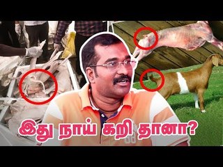 சென்னை கடைகளில் கிடைப்பது நாய் கறி தானா?