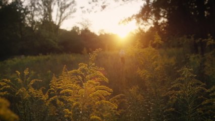 Mat Kearney - Grand Canyon