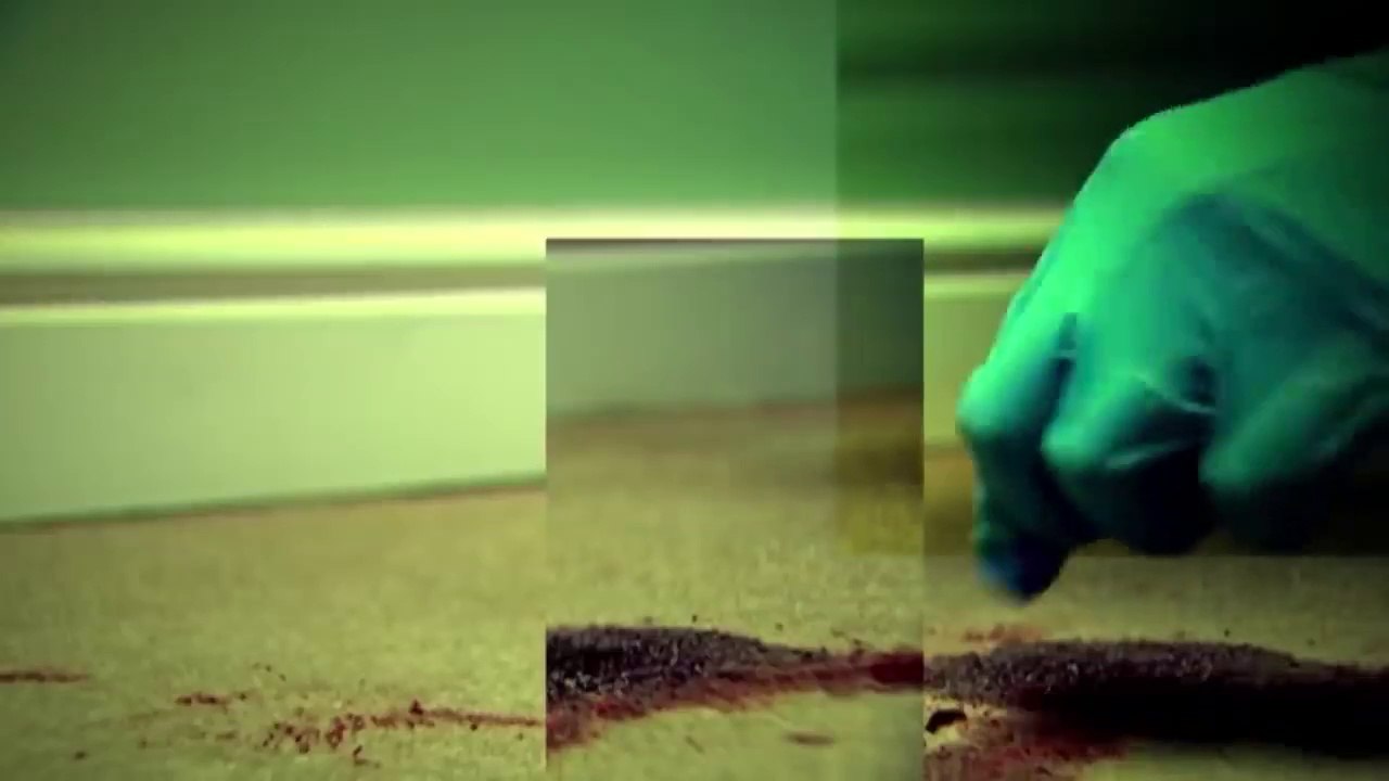 Almost Perfect Murder (True Crime Documentary) Shiver video Dailymotion