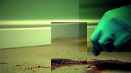 Almost Perfect Murder (True Crime Documentary) _ Shiver