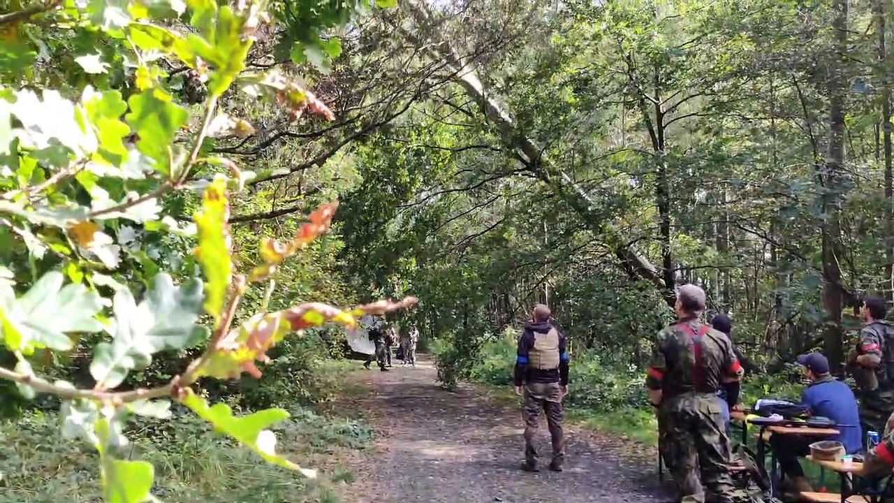 Two Trees Fall During Airsoft Event