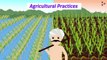 Agricultural Practices _ Soil Preparation _ Crop Production and Management