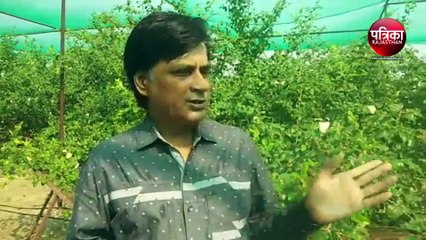 VIDEO : दो करोड़ लीटर क्षमता वाला बनाया तालाब, बरसाती पानी से करते हैं सिंचाई