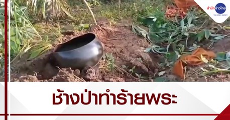 สลด! โขลงช้างป่าทำร้ายพระมรณภาพ