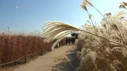 [날씨] 절기 '상강' 때 이른 가을 추위...주말 더 춥다 / YTN