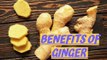 Ginger benefits | Health Tips