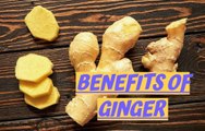 Ginger benefits | Health Tips