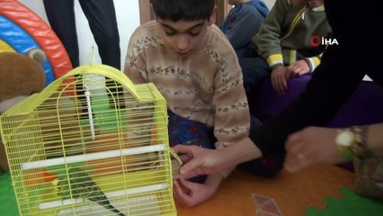Özel Öğrenciler Muhabbet Kuşu ile Rehabilite Edilecek