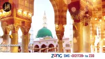 Allah Ki Hai Shan Madina Munawwara | Hafiz Muhammad Talha Sultani | Naat | IQRA