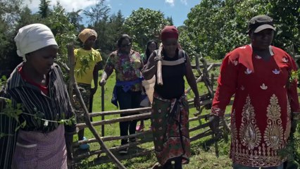 Femmes et science en Afrique : une révolution silencieuse