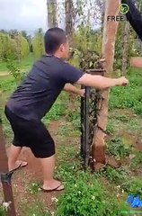 Dangerous work and better times