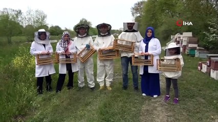 Arı Sütünün Kilosu Altınla Yarışıyor