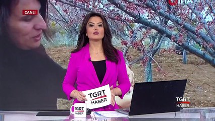 Kayısı ve Badem Ağaçlarını Don Vurdu