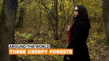 Around the World: These spooky forests aren't for the faint of heart!