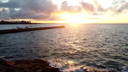 2020 L'instant zen du matin - Lomener * Trigone Production