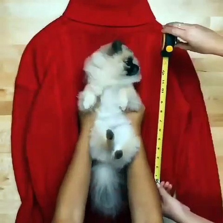 Do it YourSelf Videos 113