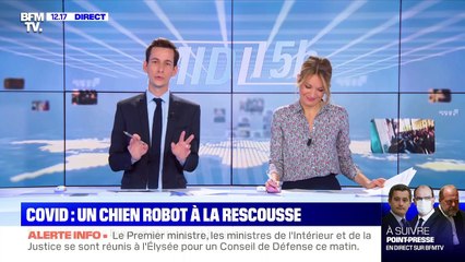 Covid: un chien robot à la rescousse - 23/10