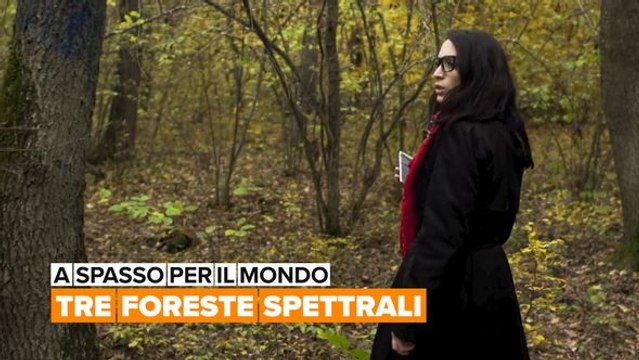A spasso per il mondo: Tre foreste spettrali