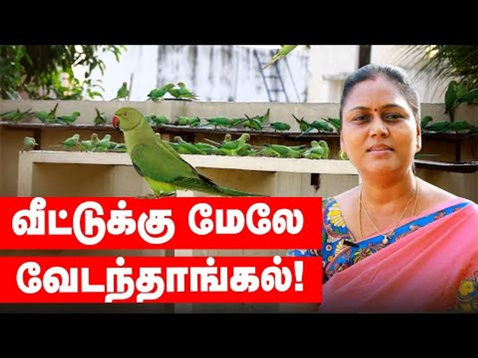 தினசரி கூடும் 500 பறவைகள்...வீட்டுக்கு மேலே வேடந்தாங்கல்!