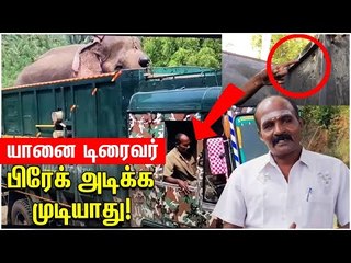 30 ஆப்பரேஷன்... உயிரைப் பணையம் வைக்கும் யானை டிரைவர் ஆறுச்சாமியின் கதை !