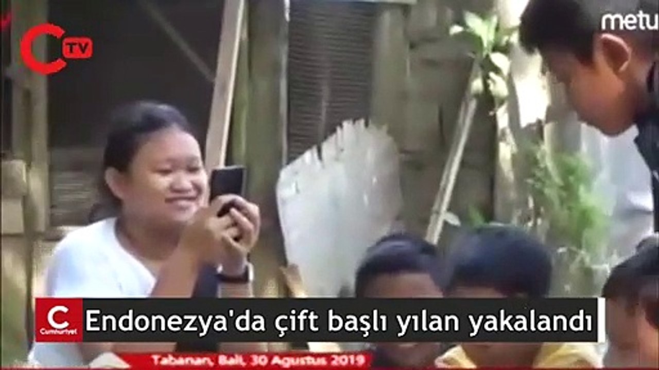 Çift başlı yılan paniği