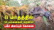 கோவைக்கு வரும் யானை...உயிர் தப்புமா?  | Shock Report | Elephant Deaths