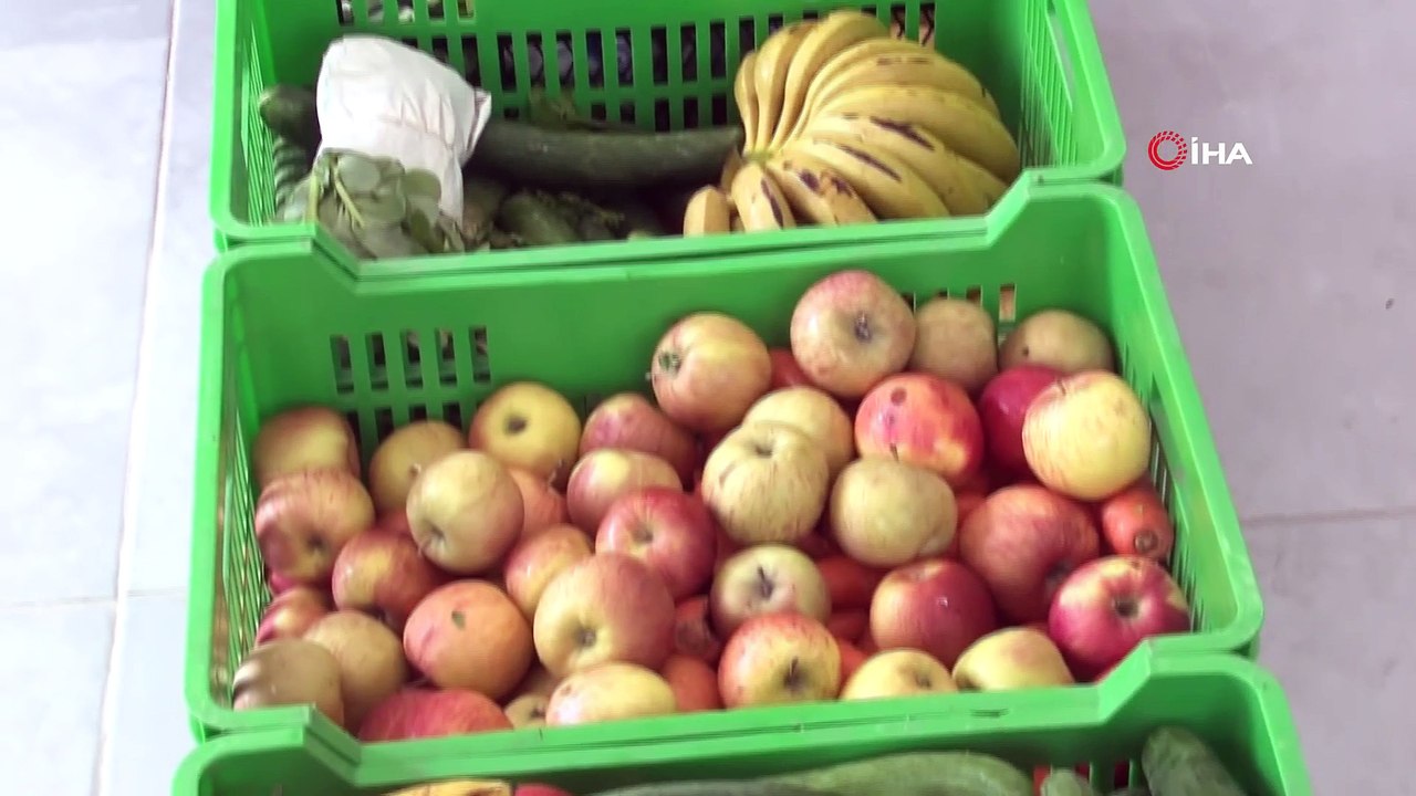 Bu Mutfaktaki Kazanlar 2 Bin 600 Hayvan İçin Kaynıyor