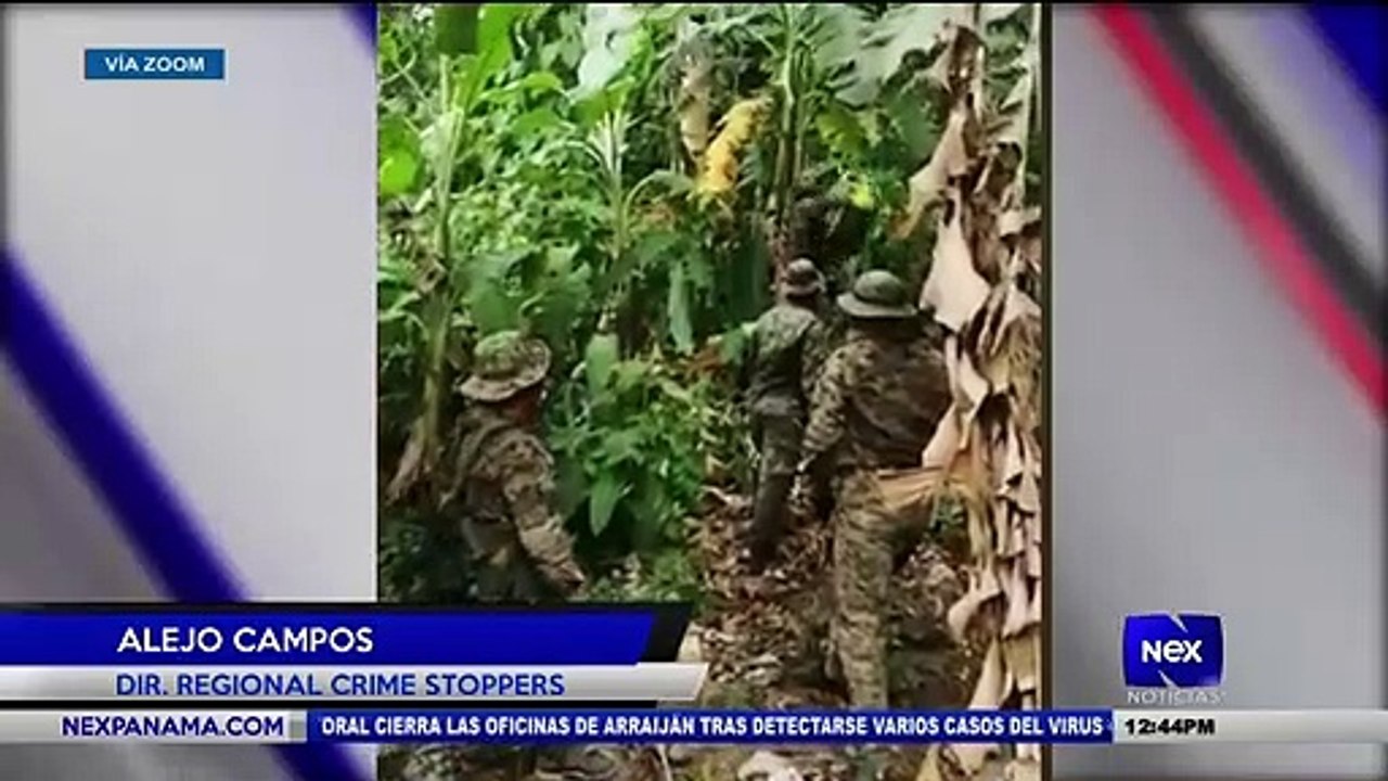 Entrevista a Feliciano Grajales y Alejo Campos, sobre el comercio ilícito - Nex Noticias