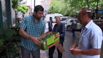 Yüksek Fiyatlar Vatandaşı Sebze Üretimine Yöneltiyor