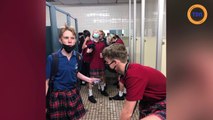 Des garçons vont en jupe à l'école pour dénoncer le sexisme