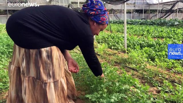 Dünya Gıda Günü: 'Pandemi ile birlikte herkes temiz ve sağlıklı gıdanın önemini anladı'