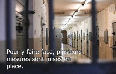 Belgodyssée | Coronavirus en prison : s’organiser face aux contaminations