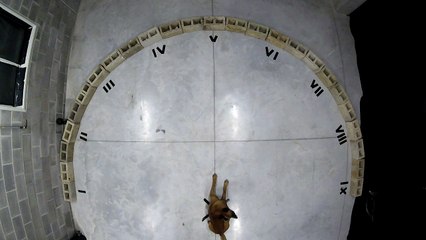 Exercice de détection de drogue avec chiens policiers (Gembloux Agro Biotech) - 3