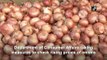 Centre created buffer stock of 1 lakh metric tonnes to check rising onion prices: Consumer Affairs Department