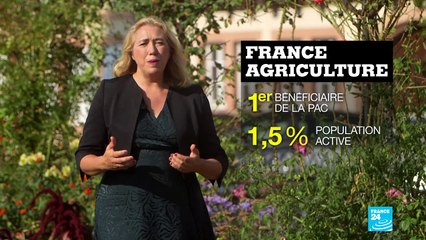 France- Allemagne, partie 2 : décidées à verdir leur agriculture post-Covid ?